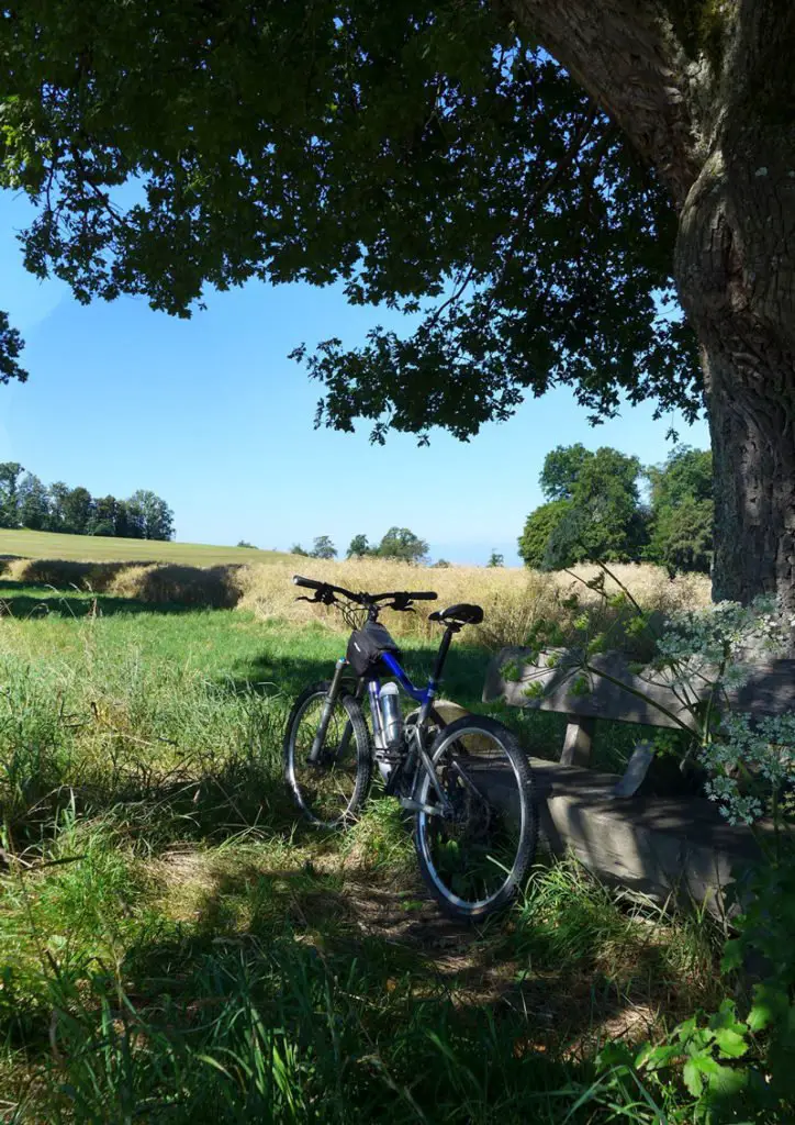 Vélo & VTT en Gruyère  Des paysages à couper le souffle