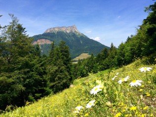 Sur le GR 9 en direction de Sappey en Chartreuse