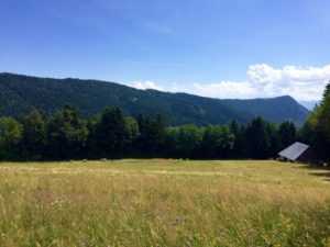 Vers le Habert de Chamechaude