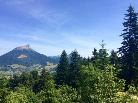 Vue sur Chamechaude