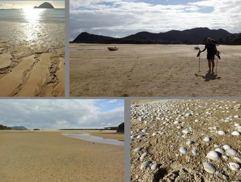 traversée du gué sur notre Trekking en Nouvelle Zélande traversée du gué sur notre Trekking en Nouvelle Zélande