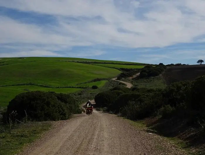 Au sud de Medina Sidonia – Andalousie . Un peu de verdure après la minérale Lanzarote