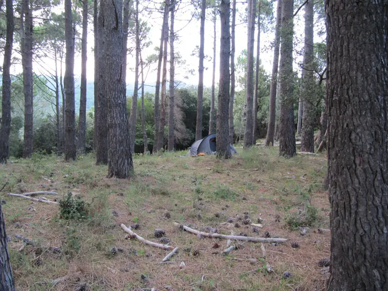 Bivouac sous les pins pour notre 6eme nuit de notre rando dans les pyrénées catalanes