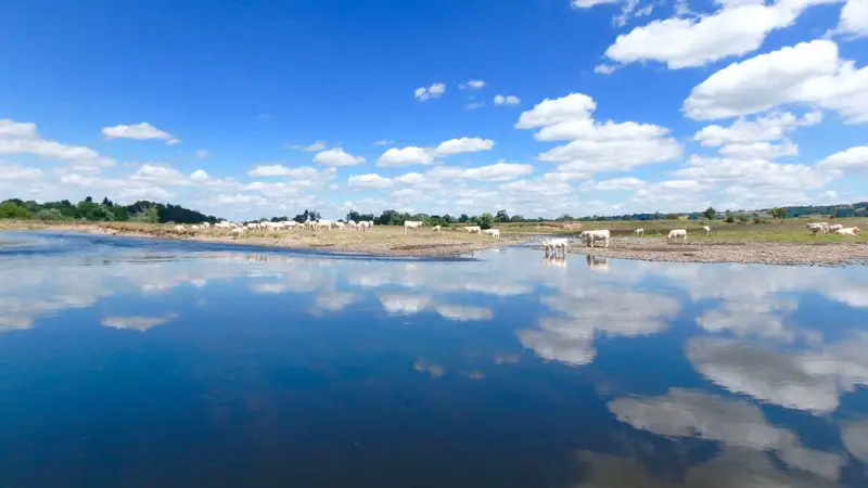 Découverte du paysage au bord de la Loire