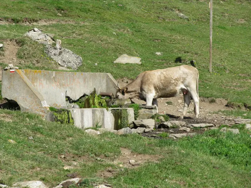 Fontaine à vaches, Pic Neulos – Jour #02