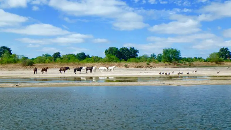 Les beaux paysages de la Loire