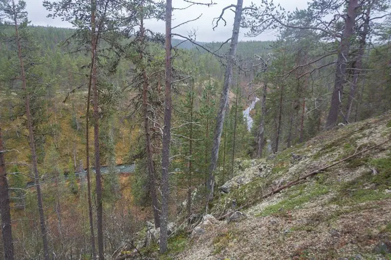 Les berges s’élèvent autour de la rivière Siulanjoki Les berges s’élèvent autour de la rivière Siulanjoki