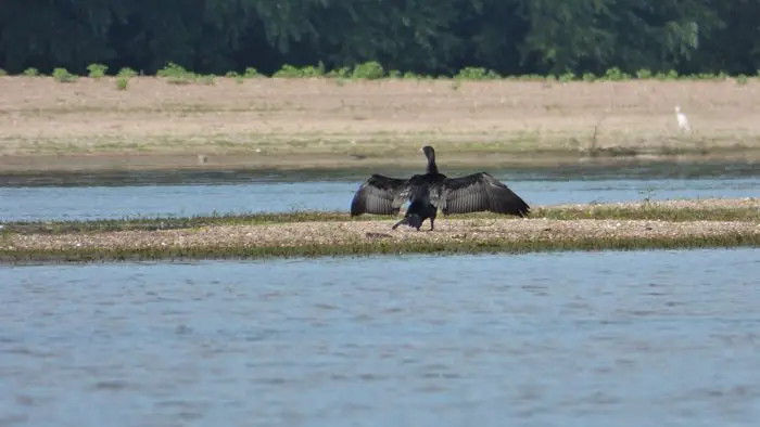 On ne se lasse pas de ce spectacle de la Nature !