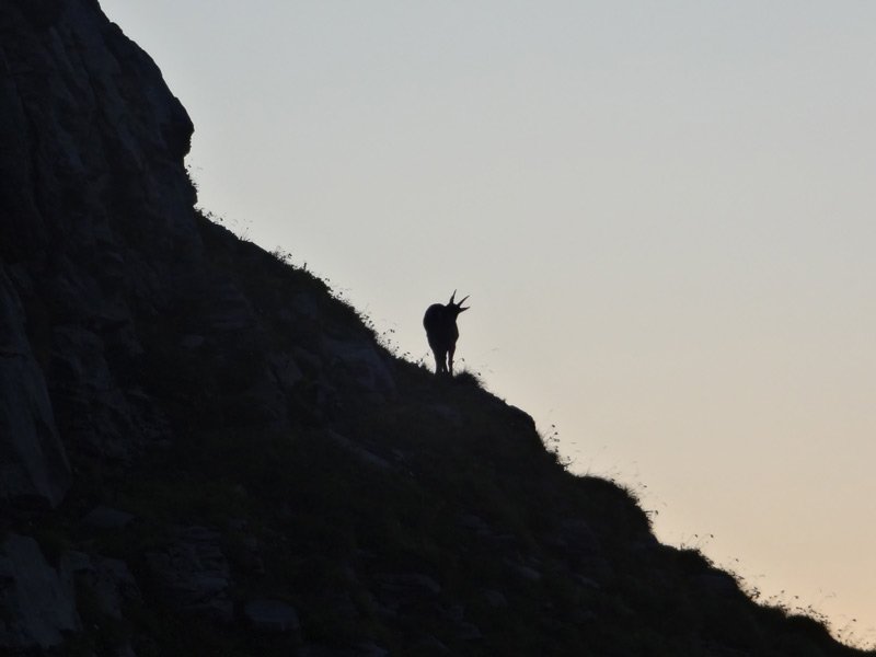 Rencontre avec le gardien des lieux