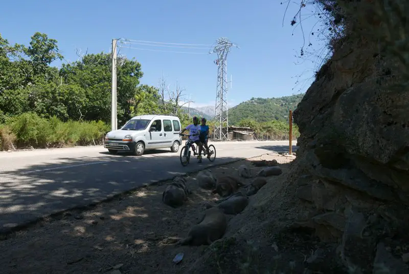 Tandem sur les routes de corse