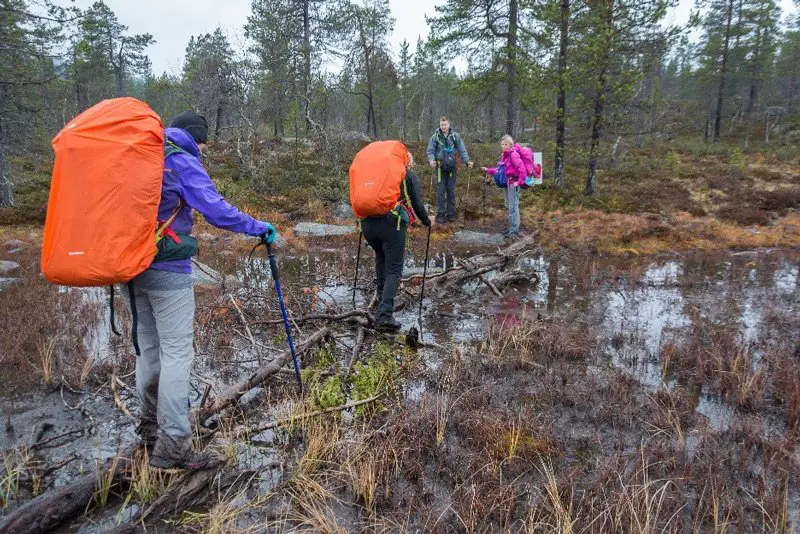 Traversée de marécages sur troncs d’arbres