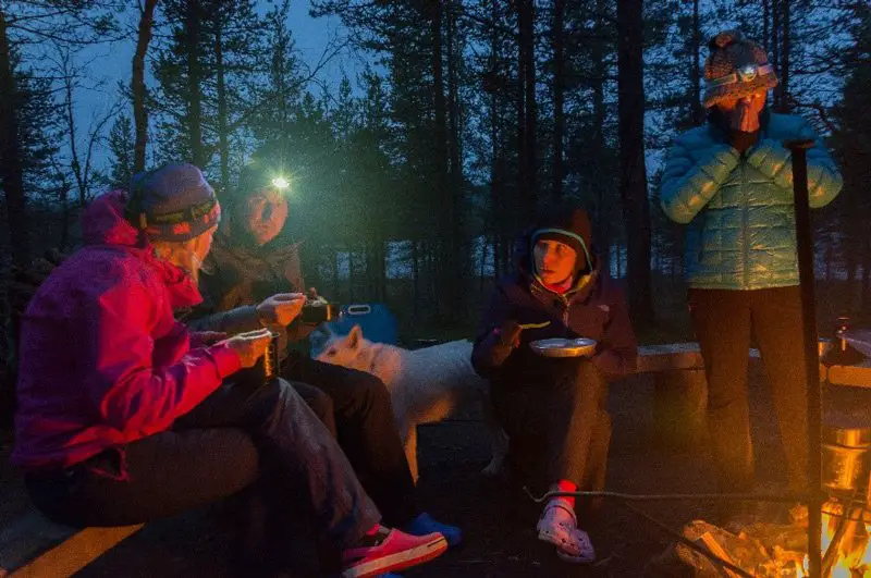 Un repas en plein air avec les chiens en Finlande