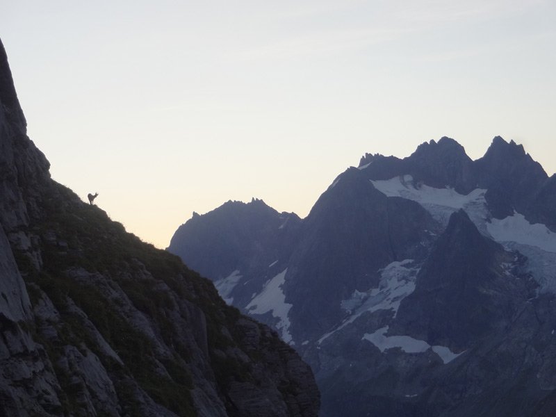 Rencontre avec le gardien des lieux