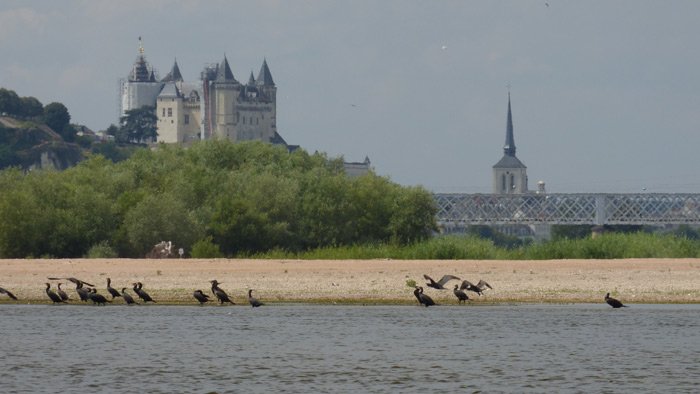 En approche de Saumur