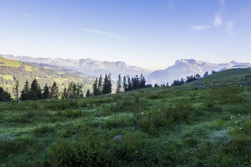 la vue, un peu plus tard, changement de lumière