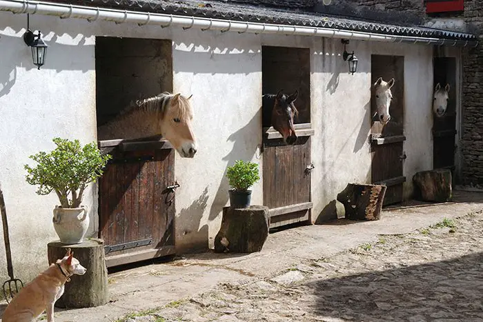 Box a chevaux, pour les randonneurs, du gite a Avallon