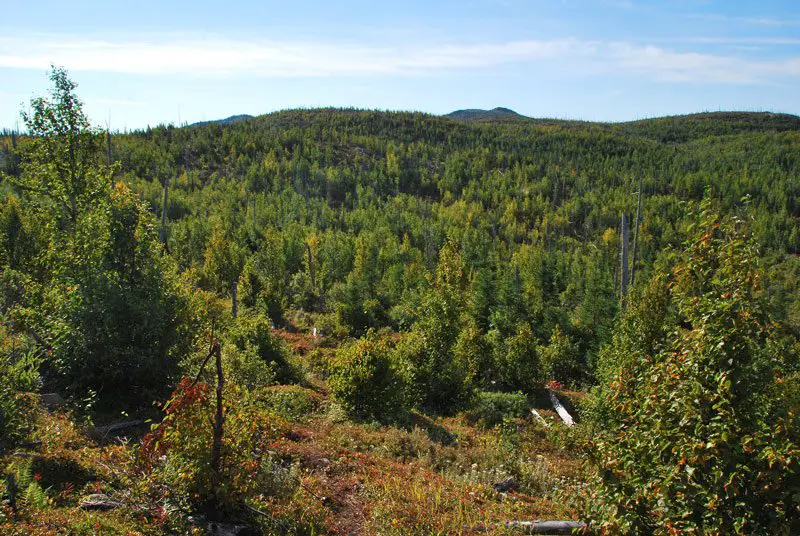 Je me sens vraiment toute petite au québec