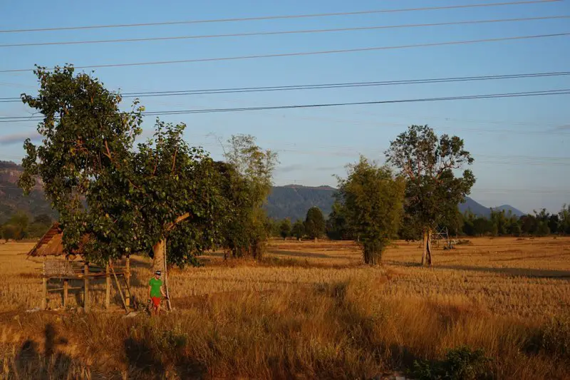 petite cabane au milieu des champs au Laos