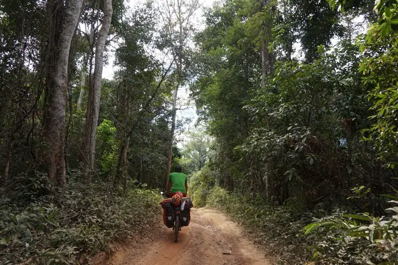 piste en terre dans la jungle