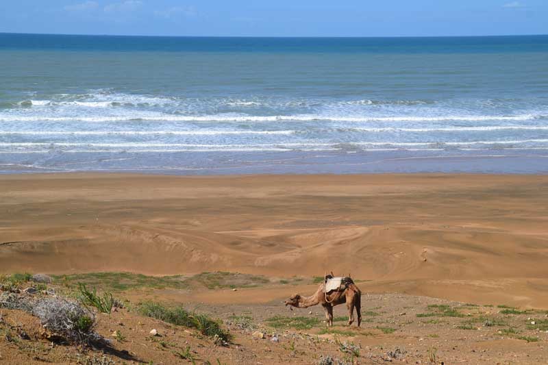 Arrivée a notre campement du soir entre Essaouira et Agadir