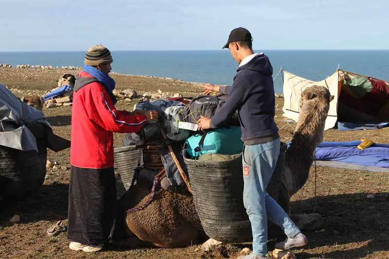 Poser nos sacs de voyages sur les dromadaires pour nous alléger lors de notre randonnée Marocaine