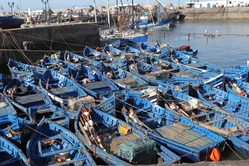 barque de pêche au port d