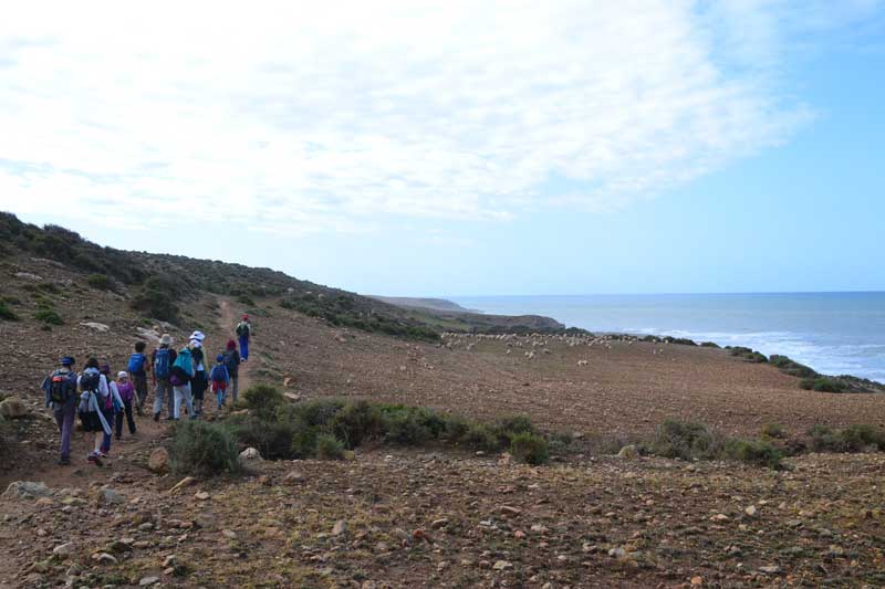 nous longeons la côte Atlantique de Essaouira vers Agadir