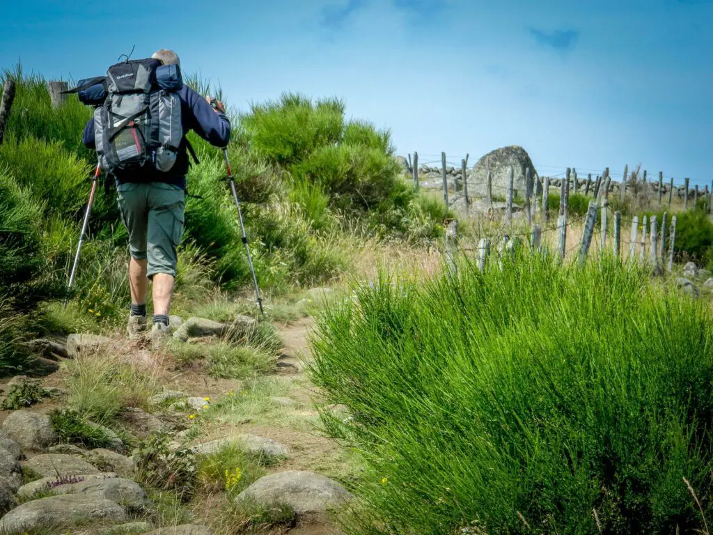 randonner sur le chemin de saint jacques de compostelle