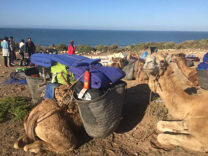 rangement de notre dernier campement sur 5 jours de randonnée au Maroc