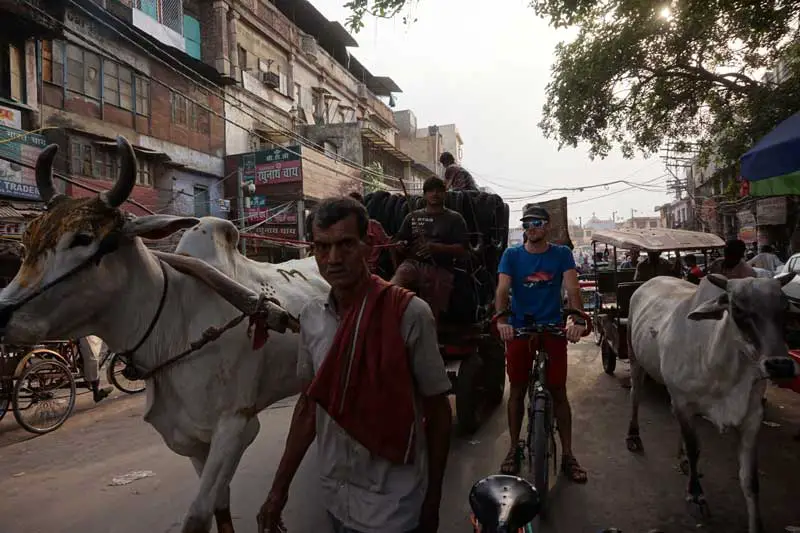 en vélo dans les rues du vieux Delhi en Inde