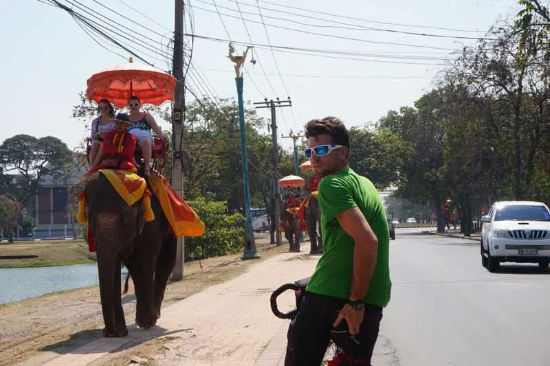 touristes promenés à dos d'éléphants dans Ayutthaya en Thaïlande