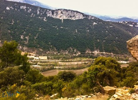 Vue depuis le secteur Classe Croûte à Mollans sur Ouvèze