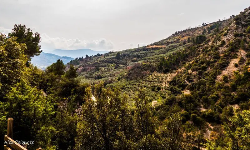 Vue depuis le secteur d'escalade de la Passerelle aux Gorges d'Ubrieux