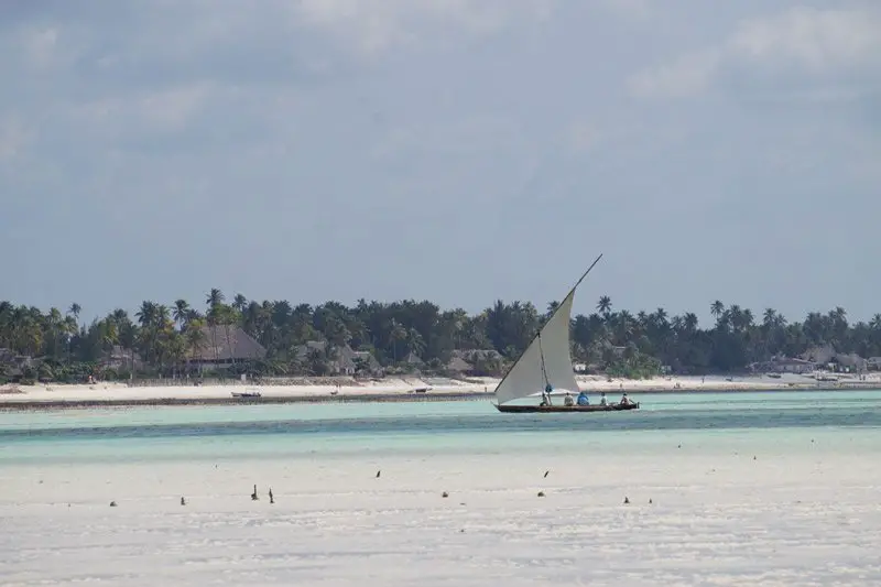 balade à marée basse à Jambiani