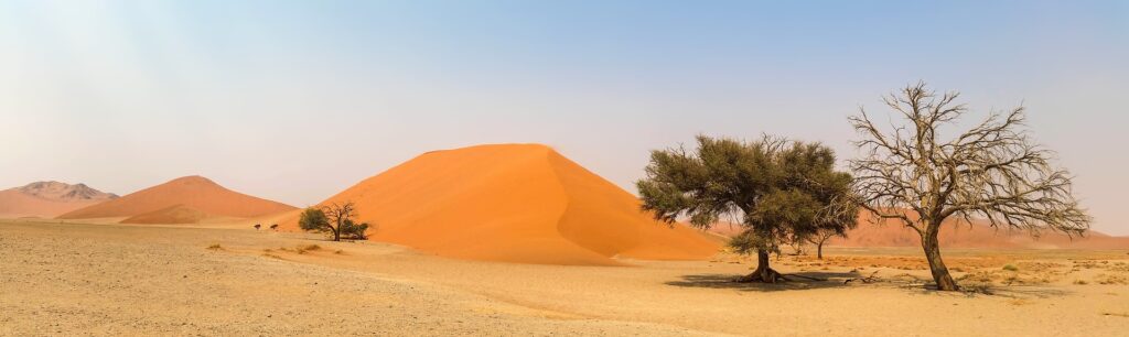 Voyage en Namibie