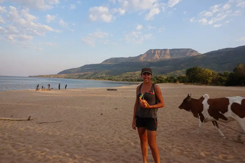 plage devant le camping Hakuna Matata de Willy à Chitimba