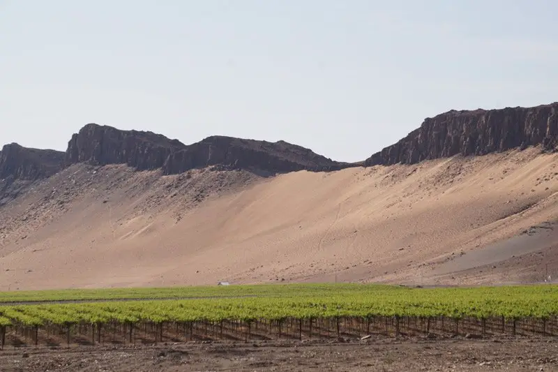 Les vignes aux portes du désert, Namibie à vélo