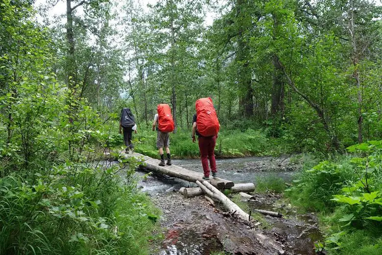 Chouette pont lors de la randonnée The crow pass trail en Alaska