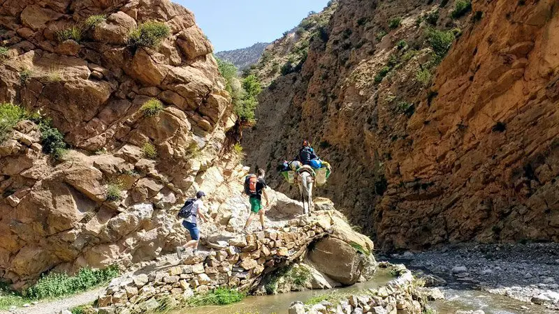 Approche en mule, grimpe Taghia Maroc