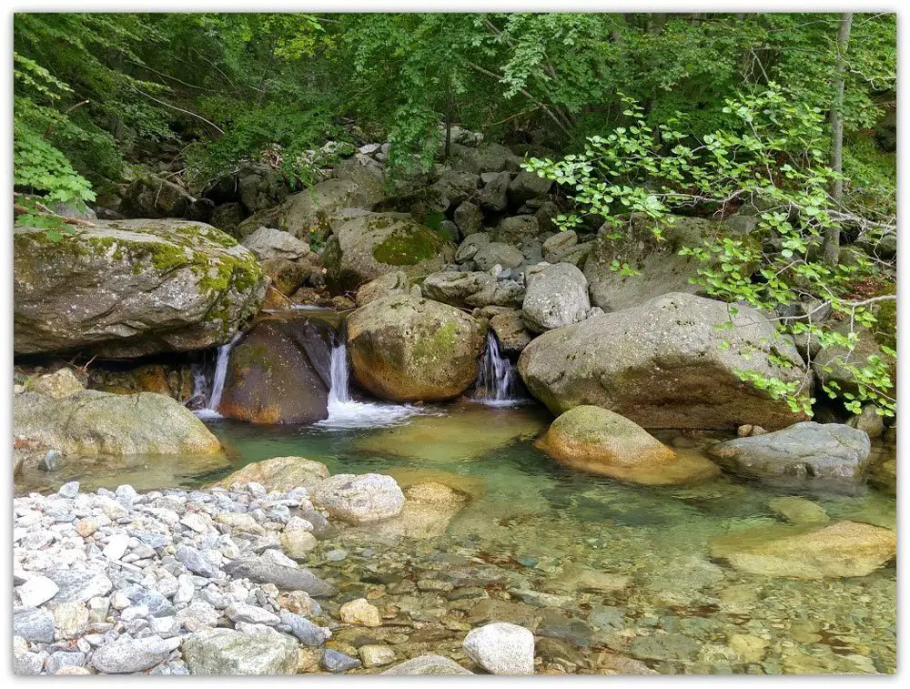 16-Le-ruisseau-de-Fulminato-traversant-la-piste-forestière, randonnée en Corse GR20