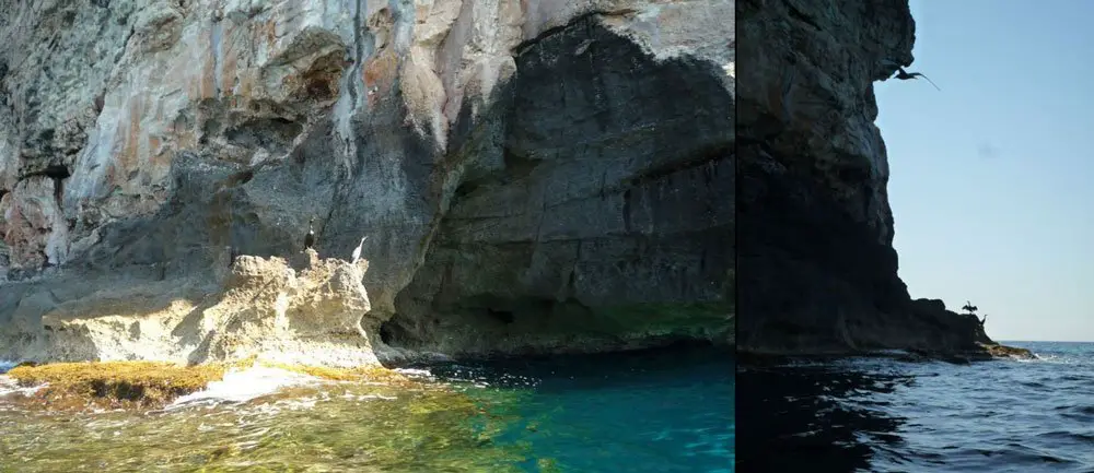 Récit Quand tes seuls voisins sont des oiseaux marins... voyage à Minorque