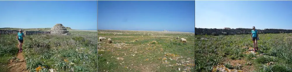 Figure 39 - Paysage pastoral, Punta Nati voyage à Minorque