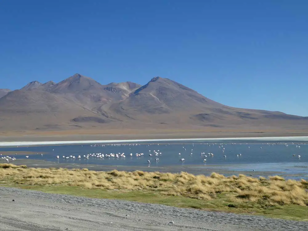 Bolivie-34, voyage vtt en bolivie