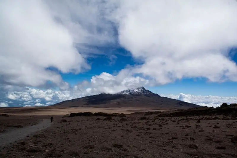 Déserts de haute altitude avec au fond le Kilimandjaro avant son ascension