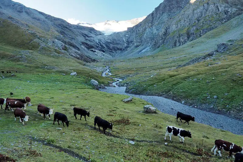 Dans la nuit, les nuages se sont dissipés. Au fond, on aperçoit le glacier Gliairetta, randonnée dans les Alpes Dans la nuit, les nuages se sont dissipés. Au fond, on aperçoit le glacier Gliairetta, randonnée dans les Alpes