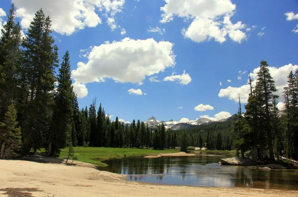 Dans les derniers miles avant Tuolumne Meadows, pendant le PCT