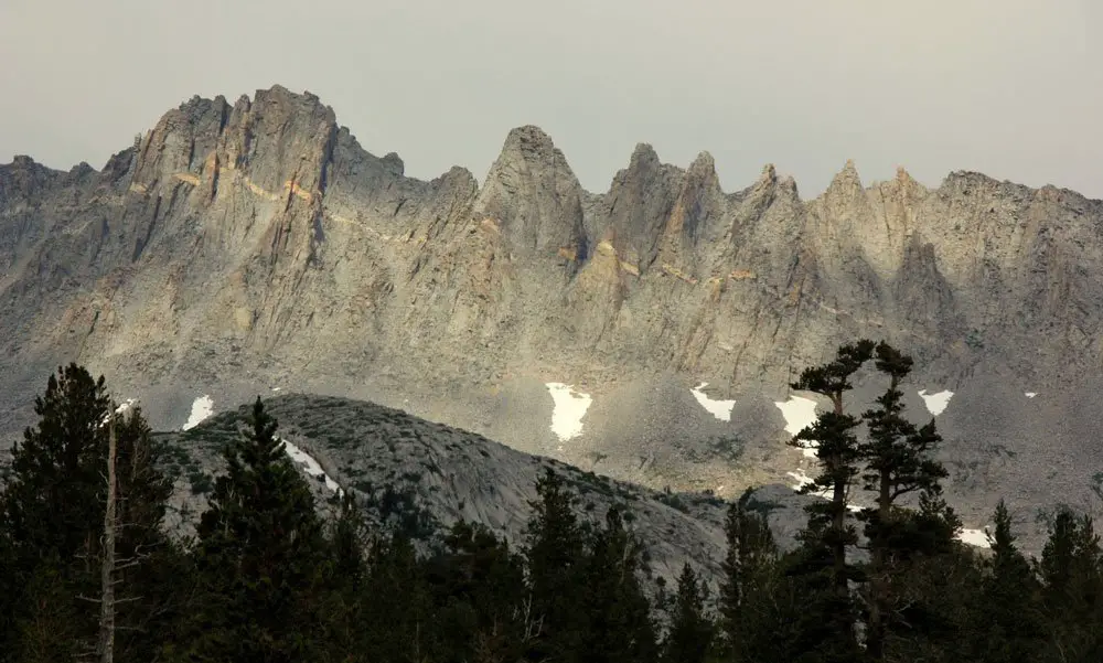 De belles aiguilles rencontrées lors du Pacific Crest Trail