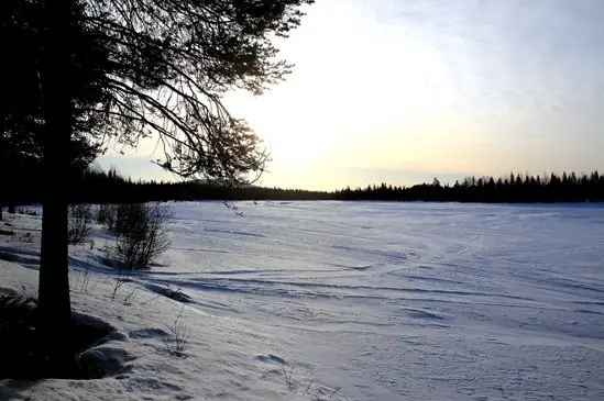 Paysage de Laponie en fin d'hiver Paysage de Laponie en fin d