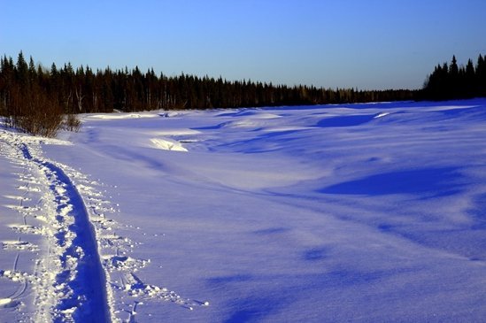 Trace en raquette à neige en Laponie