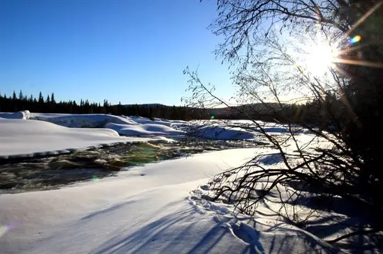 rivière enneigée de Laponie